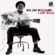 Williams Big Joe- I Got Wild