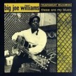 Williams Big Joe- These Are My Blues (OUT OF PRINT)