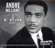 Williams Andre-(2CDS) Fortune Of Hits