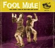 Fool Mule- The Funny Side Of Rhythm & Blues
