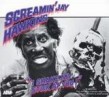 Hawkins Screaming Jay- I Shake My Stick At You