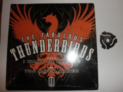 Fabulous Thunderbirds- Picture Sleeve 45RPM