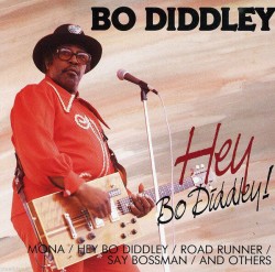 Bo Diddley-(USED) Hey Bo Diddley!