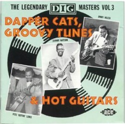Dapper Cats Groovy Tunes Hot & Hot Guitars!!!- DIG Label Blues