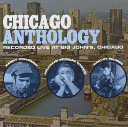 Chicago Anthology- Charlie Musselwhite- Harvy Mandel- Barry Gold