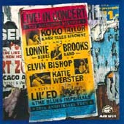 Alligator 20th Anniversary Tour-(2CDS) Live In Concert