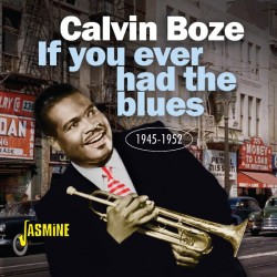 Boze Calvin- If You Ever Had The Blues