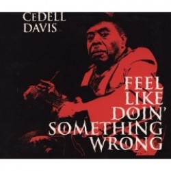 Davis Cedell- Feel Like Doin' Something Wrong