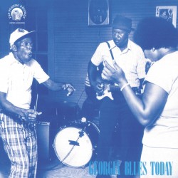 Georgia Blues Today-- The George Mitchell Collection
