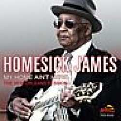Homesick James- My Home Ain't Here