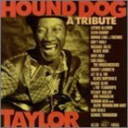 Tribute To Hound Dog Taylor- Ronnie Earl- Son Seals-  Dave Hole
