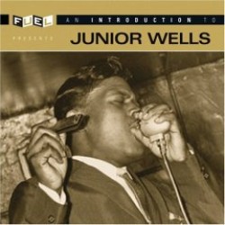 Wells Junior-An Introduction To