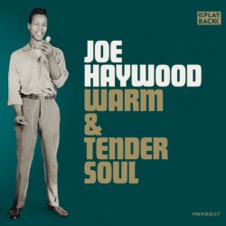 Haywood Joe- Warm & Tender Soul