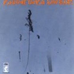 Taylor Johnnie-Raw Blues