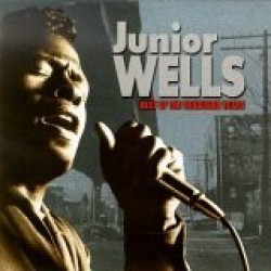 Wells Junior-Best Of The Vanguard Years