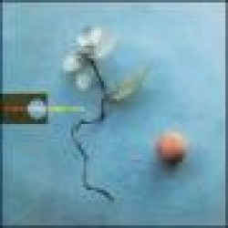 Mehldau Brad-(USED) Elegiac Cycle