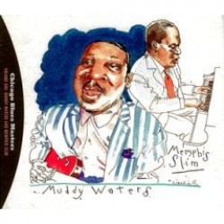 Waters Muddy-Chicago Blues Masters