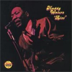 Waters Muddy- Live At Mr Kellys