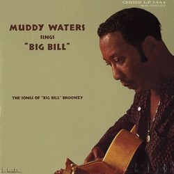 Muddy Waters-(VINYL) Sings Big Bill