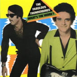 Fabulous Thunderbirds- Whats The Word