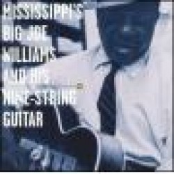 Williams Big Joe-And His Nine String Guitar
