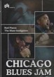Rod Piazza/Blues Instigators DVD Chicago Blues Jam Vol.1